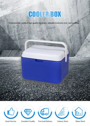 5L Medicine Cooler Box for Storing Insulin,Vaccine,Blood