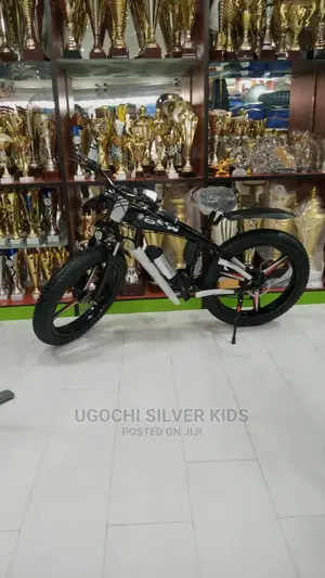 Bmw Electric Bycycle