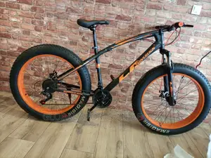 Bicycle Collection
