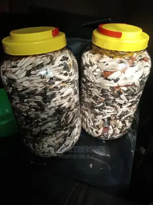 Imported Feed for Parrots