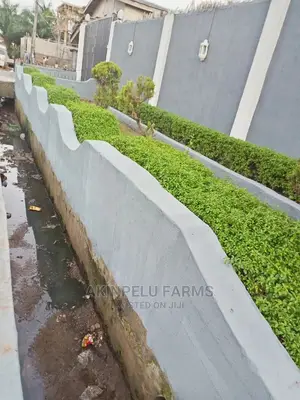 Flower Planting Services