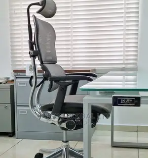 Office Chair (Orthopedic)