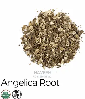 Angelica Root - 50g