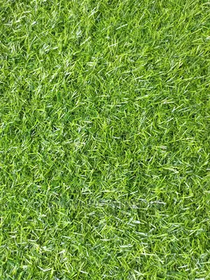 25mm Artificial Grass