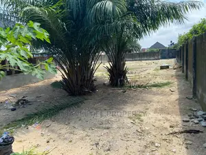 Full Plot Size of Land for Sale at Ibeju