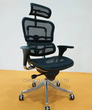 Office Chair (Orthopedic)