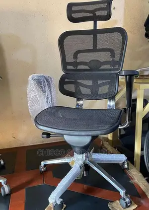 Orthopedic Office Chair.