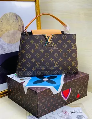 Luxury Louis Vuitton Designer Women's Brown Leather Handbag.