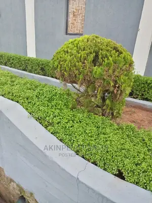 Flower Sales and Management
