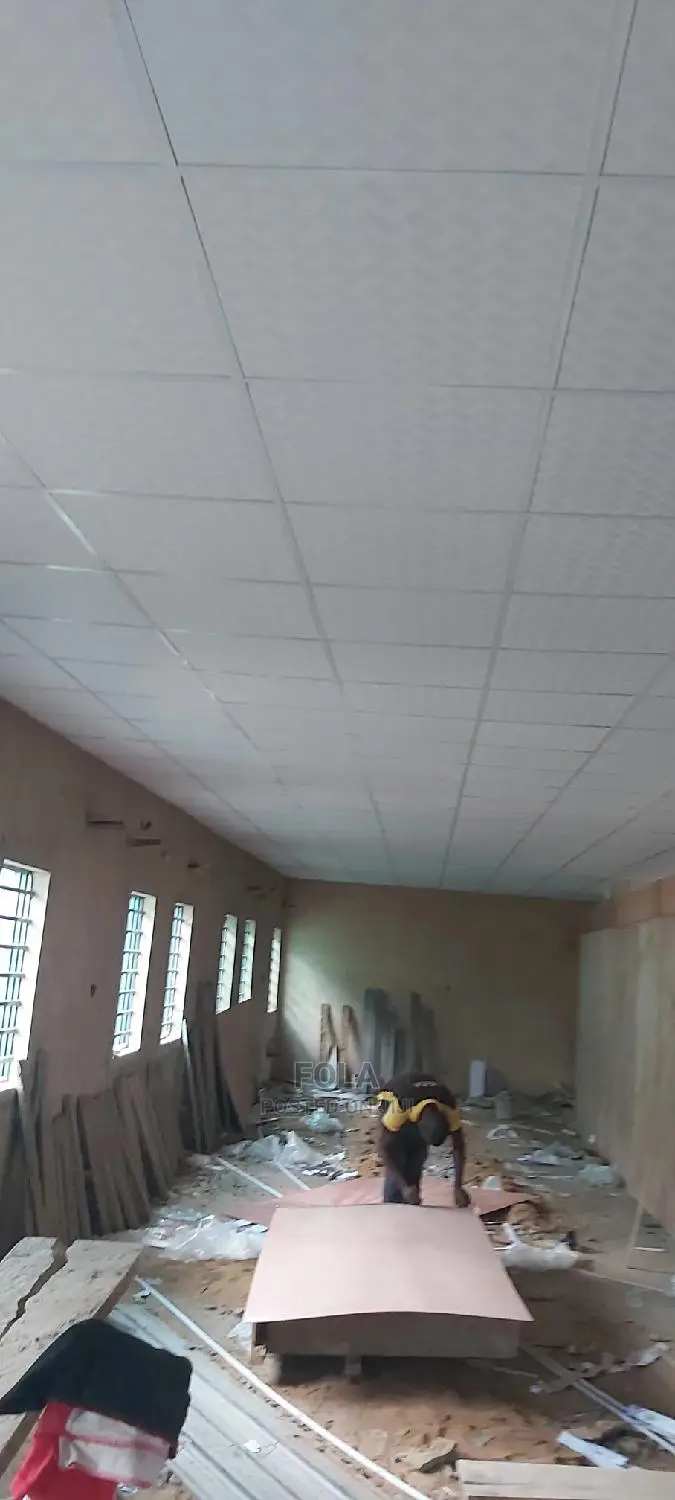 Suspended Ceilings
