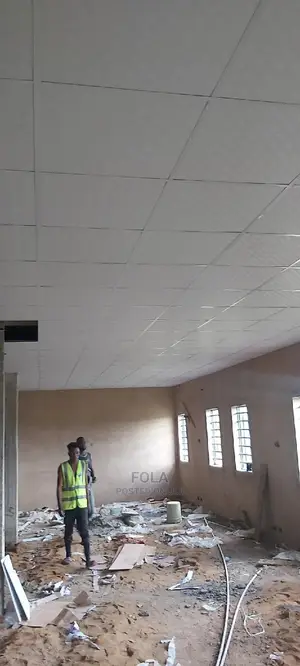 Suspended Ceilings