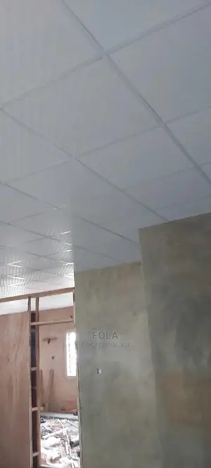 Suspended Ceilings
