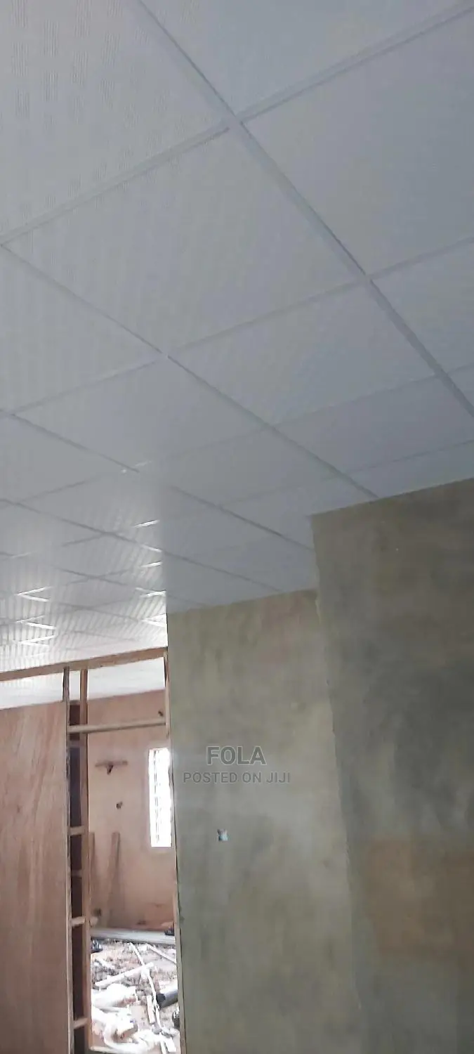 Suspended Ceilings