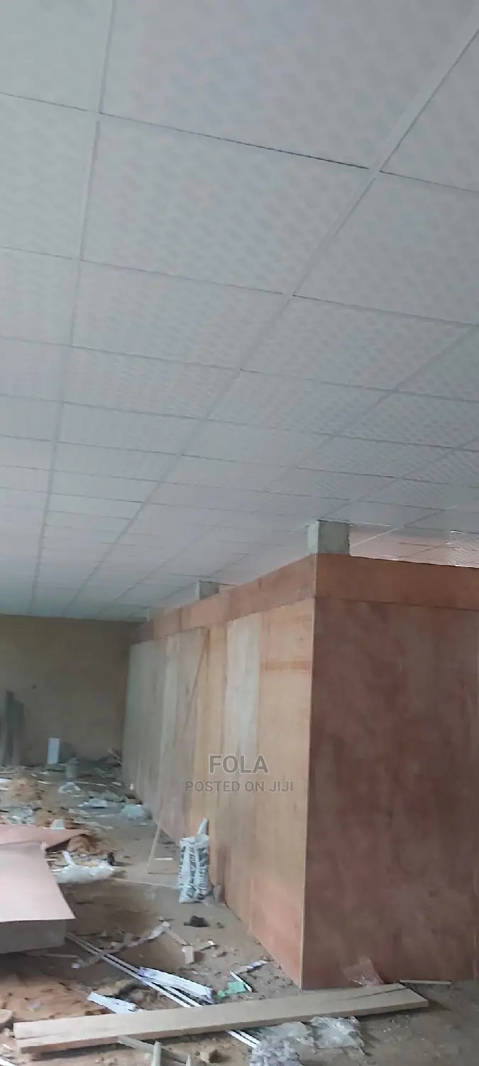 Suspended Ceilings