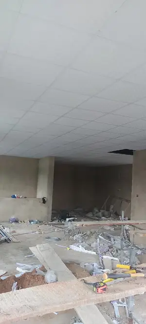 Suspended Ceilings