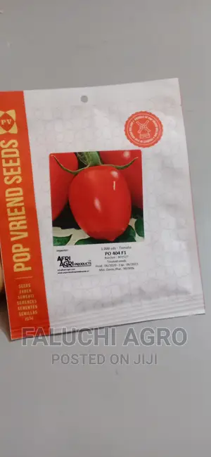 PO404 F1 Hybrid Tomato Seeds (1000 Seeds)