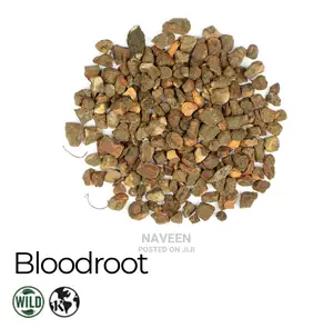 Bloodroot - 50g