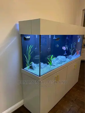 Exotic Aquarium Fish Tank
