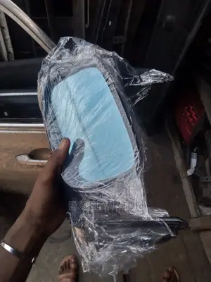 Side Mirror ZDX