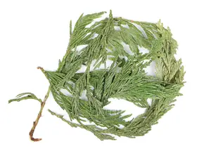 Cedar Leaf -100g