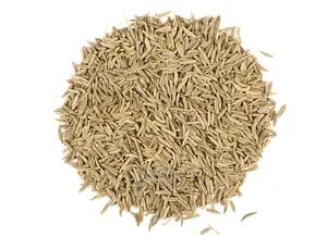 Caraway Seeds - 100g