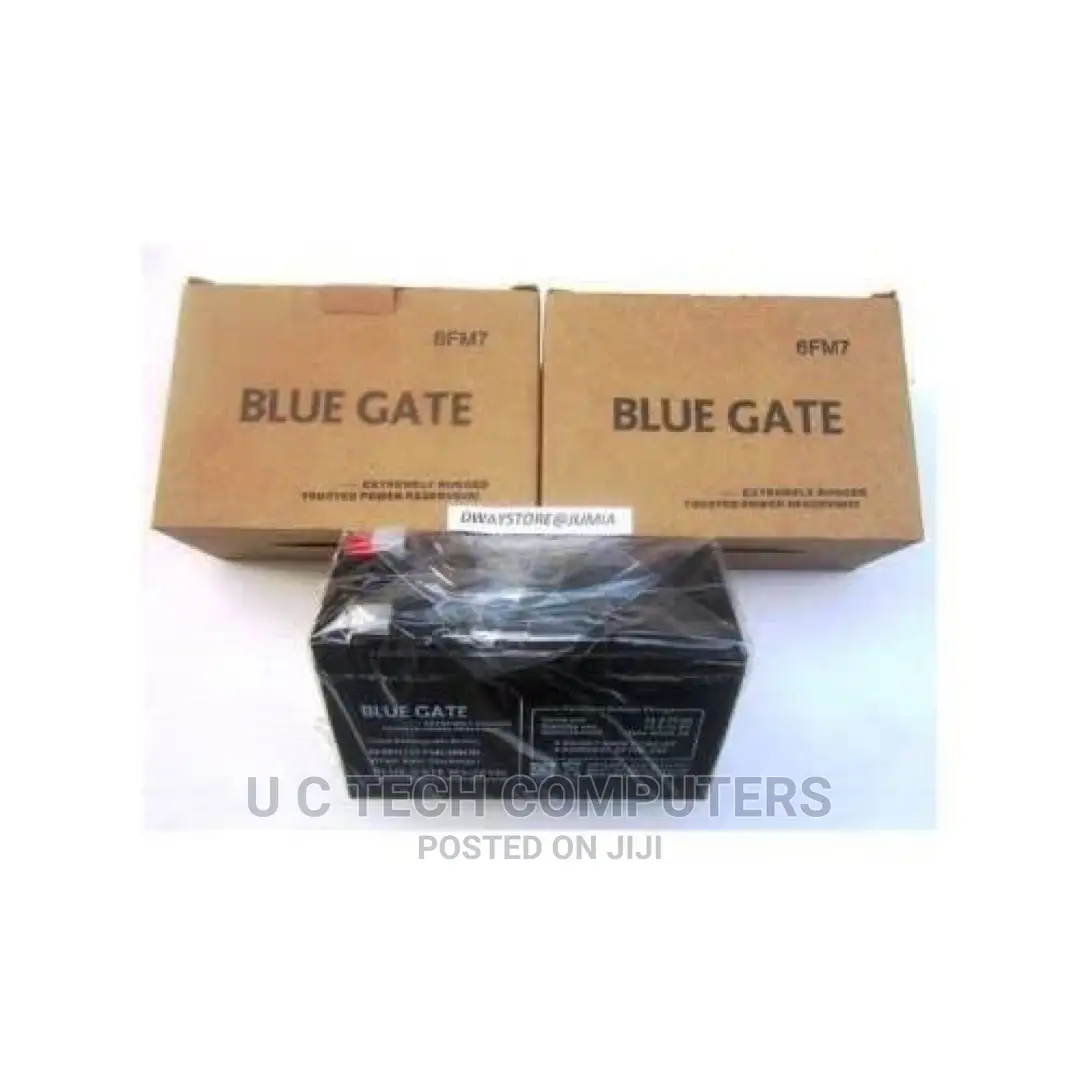 BLUE GATE UPS Replacement Battery 12v/7ah