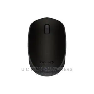 Logitech M171 Wireless Logitech Mouse High Definition