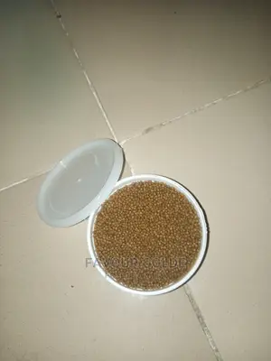 Turtle Food