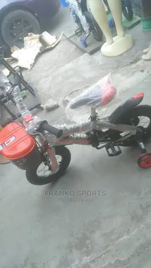 12 Children Bike