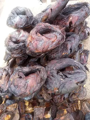 Maiduguri Catfish