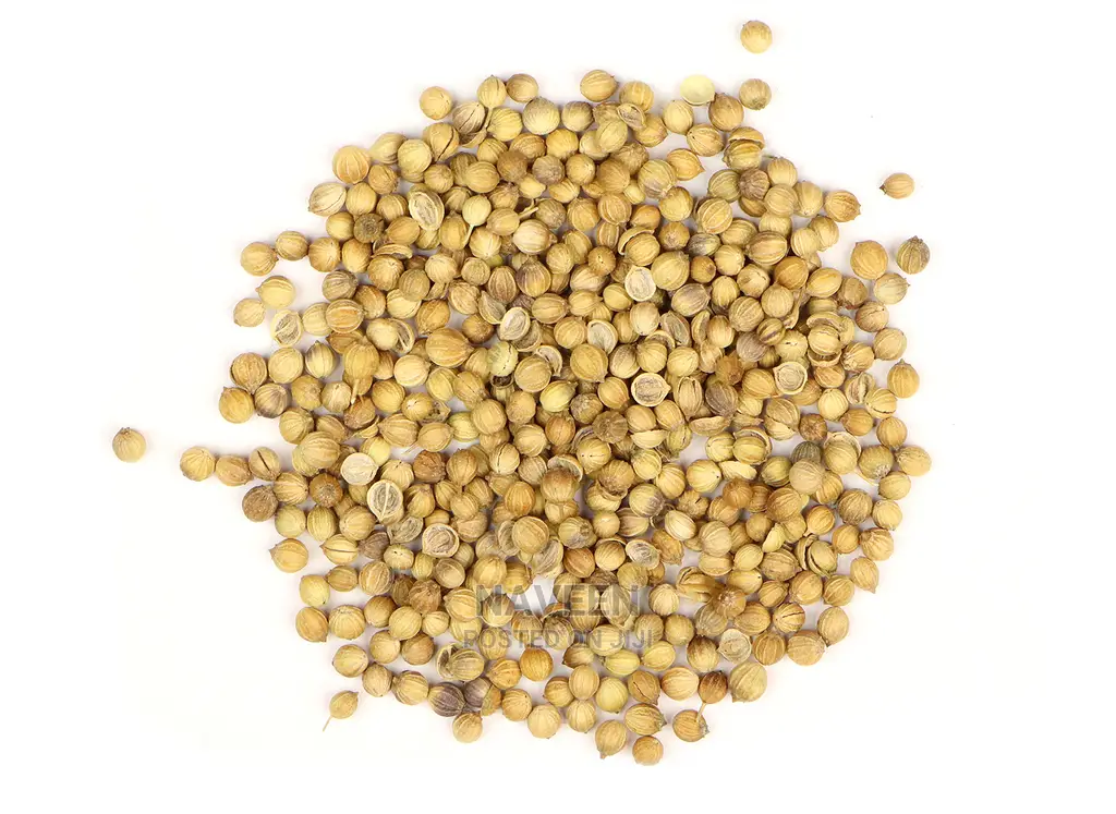Coriander Seeds - 100g