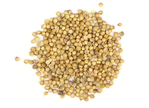 Coriander Seeds - 100g