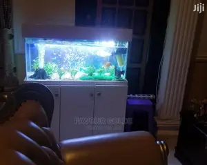 Loving Aquarium