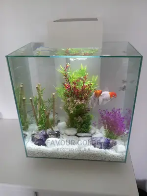Fishs Aquarium Designer