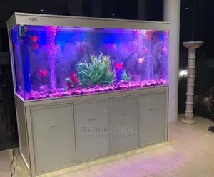 Leaving Room Aquarium