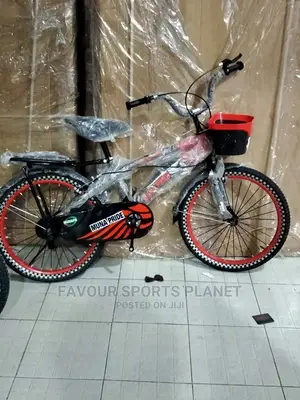 Size 20 Bicycle Available