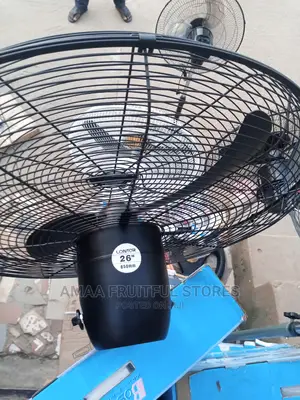 Lontor Industry Standing Fan