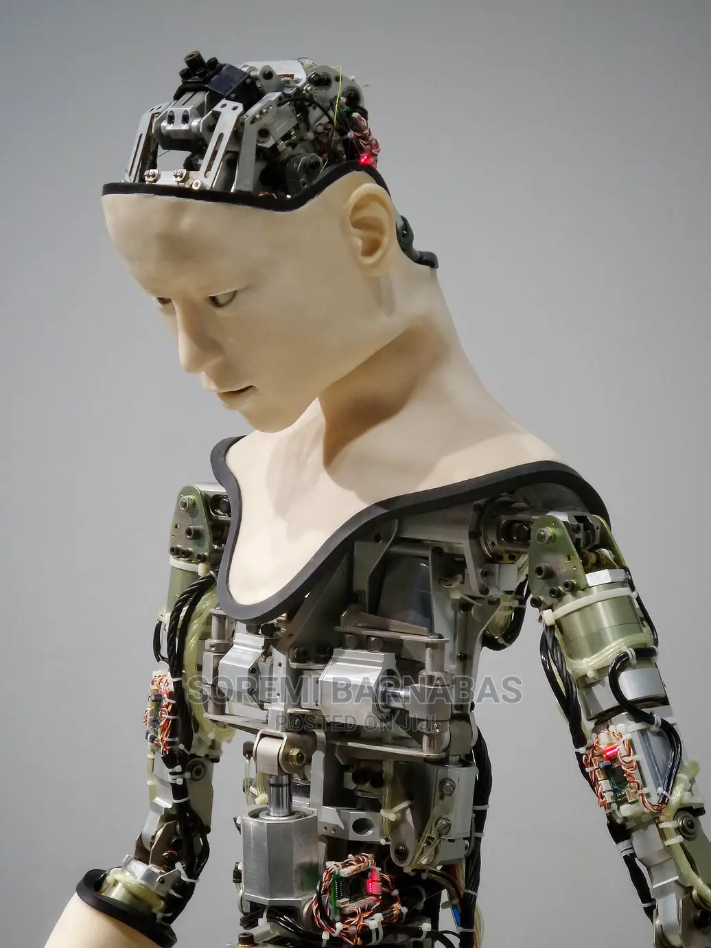 Learn Artificial Intelligence - Data Science at Home