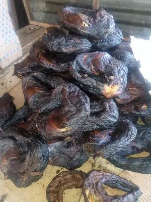 Maiduguri Catfish Dry Fish