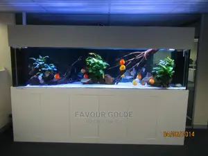 Wooden Fish Aquarium