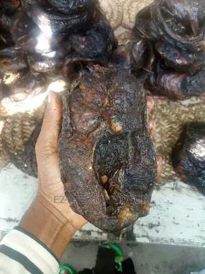 Maiduguri Asa Dry Fish