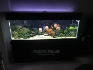 Hand Made Aquarium