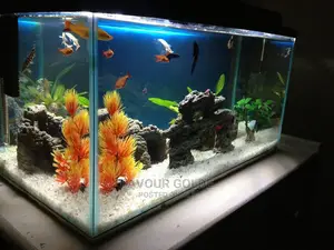 Table Stand Aquarium