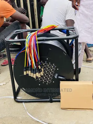 24 Channel Audio Link