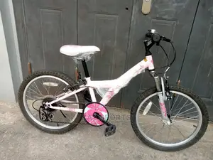 Rinx Children Bicycle