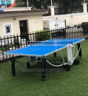 Big Tire American Fitness Outdoor Table Tennis