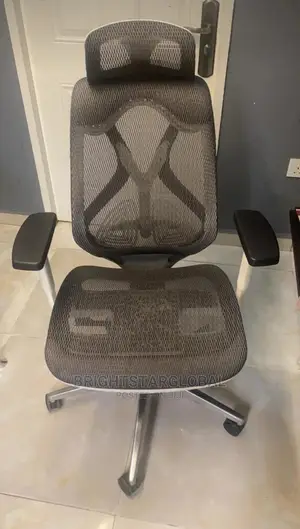 Ergonomic Office Chair (Net)
