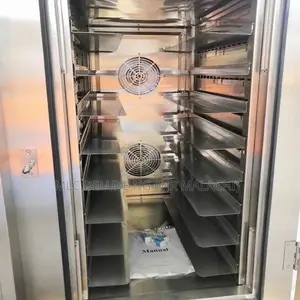 Big 10 Trays Steam Convectional Oven With 2 Industrial Fans
