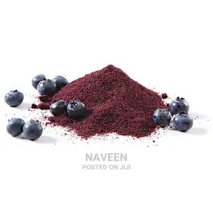 Blueberry Powder - 100g