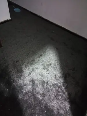 Quality Designer Shaggy Soft Center Rug.